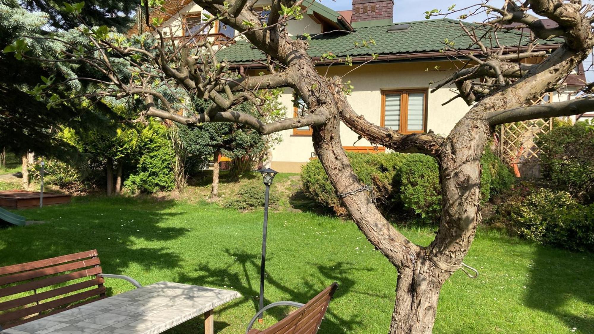 Apartamenty-Studio Noclegi Wczasy Wakacje Ferie - Pobyty Rodzinne رابكا المظهر الخارجي الصورة